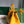 SAIGON SOUPLE BAG 34 IN YELLOW GOYARDINE CANVAS AND CALFSKIN