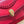 BVL Serpenti Forever Crossbody Bag 25cm Red Calfskin GHW 188660