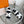 Genius Sandal White Leather