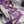 3XL SNEAKER IN PURPLE MIX GRAY MESH AND POLYURETHANE