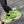 3XL SNEAKER IN NEON GREEN MESH AND POLYURETHANE