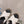 cross slippers 30 white black quilted lambskin