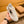 CD HOMME THICK-SOLE SNEAKERS BEIGE JACQUARD