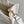 MINI BOOK TOTE 21 WHITE MACCROCANNAGE CALFSKIN