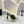 SL GOLDIE MULES RASO MUSCHIO