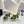 SL GOLDIE MULES RASO MUSCHIO