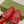 GG Men's Leather Loafer Stud Red Calfskin