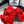CC DAD SANDAL MULE IN PELLICCIA DI AGNELLO ROSSO CREMISANO