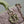 Lady D-Joy Bag 22 Pink Pale Green Lambskin