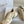 CD Chrono Sneaker In Light Brown And Ivory White Mesh Fabric And Suede 105379