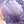 25C Hobo 22 Bag 19cm Violet Metalic Lambskin