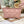 CD Medium Travel Nomad Clutch 