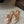 Alaia 25 Infradito Fishnet Flat Mules Nude Lampskin 303707
