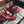 CC 25S Dad Sandal Mule Burgundy Patent Calfskin