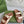 GC sandal with Double G Brown mix Beige Canvas Sheepskin 291016