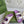 GC sandal with Double G Purple Canvas Sheepskin 291018