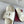GC Slipper White Cowhide 291036