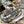 CD Floral White 26 Lady D-Joy Bag Canvas 336636