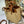CD Medium Toujours Vertical Tote Bag 23cm Natural Cannage Raffia 288651