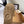 UGG Women Classic Micro Boots Tan Suede And Wool 514141