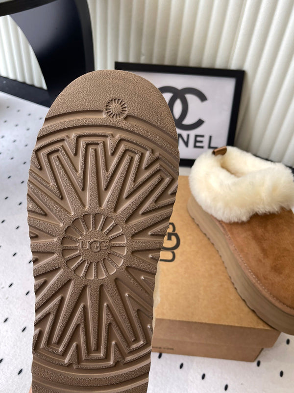 UGG Short Boots Tan Suede And Wool 514142