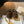 The Row 2025 Ballerine Daim Laine Marron 561591