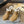 The Row 2025 Ankle Boot Tan White Suede Wool 561622