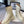 The Row 2025 Zipped Ankle Boot White Cowhide 554601