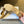 CD 25s D-Art Pumps 55mm Beige Patent Leather