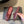 BV 26s Flats Mules Burgundy Calfskin