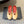 BV 26s Flats Mules Beige Calfskin