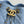 Chanel 25 Hobo Bag 22cm Blue Denim