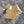 T-shirt Col Rond Logo CC SS26 Coton 350539