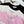 CC SS26 Heart & Camellia Logo T-shirt Cotton 350589