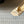 CD 26s Bow Slide Cream Satin 819999