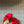 CD 26s Bow Slide Red Satin 820004