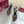 GG 26s Slingback Pump 10.5cm Canvas
