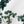 CD Fitted T-Shirt White Cotton Jersey with Green Toile de Jouy Clover Motif