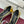GG 26s High Heels 5.5cm Calfskin