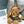 BLC Brown Plush Bear Charm