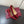 GG 26s Pointed Toe Pumps 8.5cm Patent Calfskin