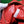 mini jodie 28 red lambskin