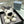 VLC Gray And White Puppy Plush Bag Charm