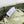 BV Two-In-One Cassette Bag 26cm Light Green Leather