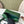 Pochette supplémentaire L19 motif alligator vert sarcelle cuir SHW