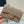 Medium Classic Flap Bag 23cm Light Beige Lambskin Gold Hardware