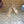 Prad 2026 Round-Toe Platform Sandals 75mm Cowhide 151253