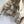CC 25B Trench Coat Beige Cotton
