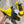 PRA 26S Mule Sneaker Yellow Brown Suede Canvas