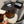 Chanel Sunglasses 02